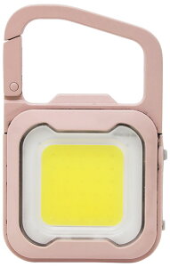 TV LED~jCgi_XeBsNj600[ WRC-21DP musashi ҂MINILIGHT [WRC21DP]