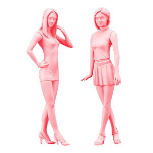 1/24 �t�@�b�V�������f�� �K�[���Y FC04