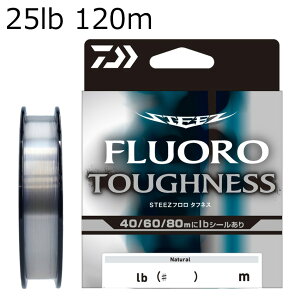 _C XeB[Yt ^tlX 120m i` (25lb/6) XeB[Yt^tlX120m(25lb) DAIWA tJ[{C