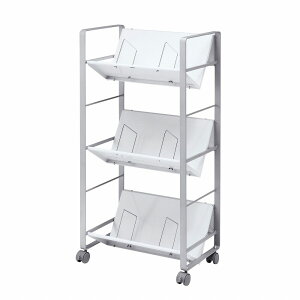 TTvC t@CSi3ij WG-100N2 fXN [WG100N2]