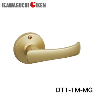 Z TKo[V[Y(֗p)  S[h obNZbg60mm DT1-1M-MG [DT11MMGJO`]