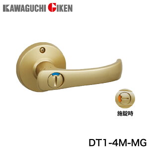 Z TKo[V[Y(֗p) \ S[h obNZbg60mm DT1-4M-MG [DT14MMGJO`]