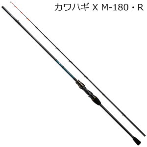 _C 20 JnM X M-180ER 2{p 20JnMX M-180ER DAIWA D