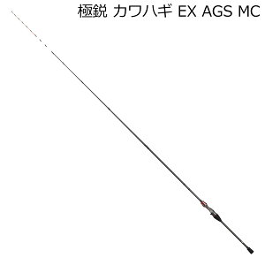 _C 19 ɉs JnM EX AGS MC 1{p 8F2q 19LNGC JnM EX AGS MC DAIWA D