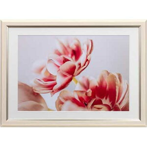 �P���R�[ �O���C�X�����EMiu�@���C�h�l��/A3���p�i�A�C�{���[�j JGM-W4-IV