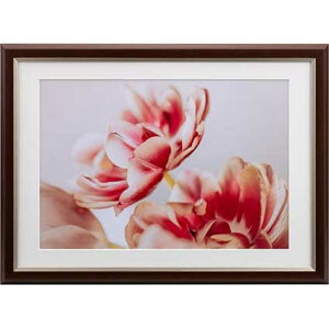 �P���R�[ �O���C�X�����EMiu�@���C�h�l��/A3���p�i�u���E���j JGM-W4-BR