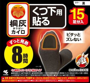 ˊDJCp \ܐ F15 ѐ LoCNcV^nc}TLN15