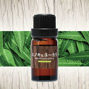 J[Cg F fBt[U[p IC Xт̍ qmL[J L10082 carmate