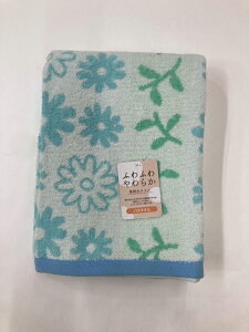 (Hayashi) oX^I tH[t[ Q(u[E60×120cm) BN411801 [BN411801]