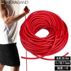 D��M �Z���`���[�u�@30.4m �i���b�h�j�y���x���x���F0�z DM-TT12 THERBAND [DMTT12]