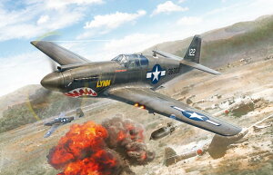 C^ yĐYz1/72 WW.II AJR P-51A}X^OyIT1423z vf