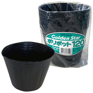 L{V ||bg 120×100mm(20) 7059 S[fX^[