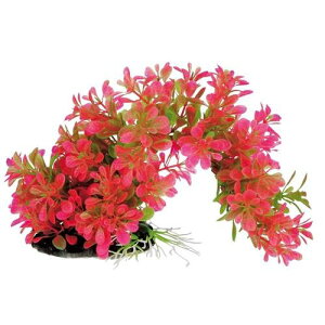 eg tLVuvg FP-3 XyNg@uY@Wp FP-3 tLVuvg