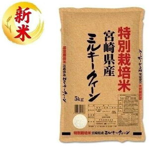 ʍ͔|ā@{茧Y~L[NC[@5kg ɒO gNTC~UL~L-5KG