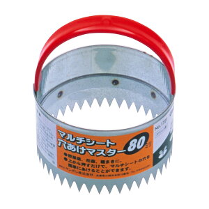 L{V }`V[g}X^[ 80mm 1721 S[fX^[