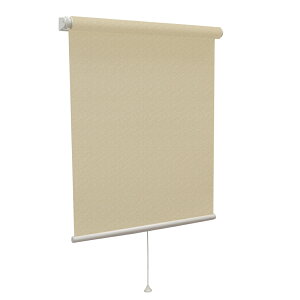 �^�`�J��(����@�H) �e�B�I���I�@���[���X�N���[�� �K�i�i �J�X�~�i�A�C�{���[�E�T�C�Y�F��180×����220cm�j TIORIO-401-180-220 [�����i�Ɠ����w���s��]���[�J�[�����i [TIORIO401180220]