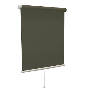 �^�`�J��(����@�H) �e�B�I���I�@���[���X�N���[�� �K�i�i �J�X�~�i�_�[�N�O���[�E�T�C�Y�F��180×����180cm�j TIORIO-403-180-180 [�����i�Ɠ����w���s��]���[�J�[�����i(�����E�ꕔ�R�Ԓn�͂���