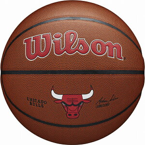 Wilson�i�E�B���\���j NBA TEAM ALLIANCE �o�X�P�b�g�{�[��(�l�H��v) �V�J�S�E�u���Y�@7�����i�u���E���j WIL-3100XBCHI