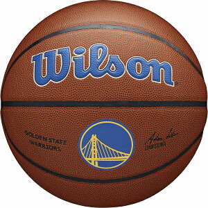 Wilson�i�E�B���\���j NBA TEAM ALLIANCE �o�X�P�b�g�{�[��(�l�H��v) �S�[���f���X�e�[�g�E�E�H���A�[�Y�@7�����i�u���E���j WIL-3100XBGOL
