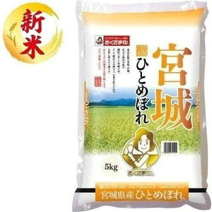 {錧YЂƂ߂ڂ 5kg ܈iKHƁj ~MPTqg{5KG