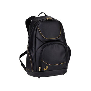 AVbNX GOLDSTAGE obNpbN(ubNETCYFF) 3123A530-001-F asics