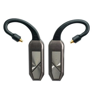 ACt@CI[fBI SCXBluetoothA_v^[sGO pod Maxt IFI-GO-PODMAX iFi-audio