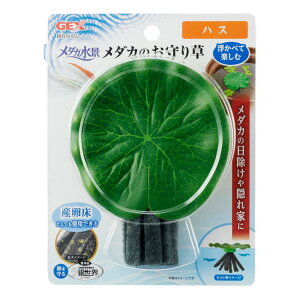 GEX _Ji _Ĵ葐 nX WFbNX _JmI}\EnX