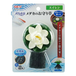 GEX _Ji _Ĵ葐 XC WFbNX _JmI}\EXC