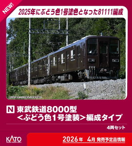 mS͌^nzr[Z^[Jg[ (NQ[W) 10-980 S8000^Ґ^Cv 4Zbg