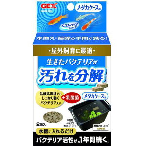 GEX xXgoCIubN _JP[Xp 2 WFbNX BoCIucN_JP-X2