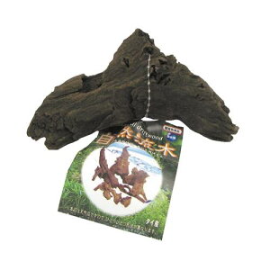 R ~j jb\[ NAN-240V[E{N~j