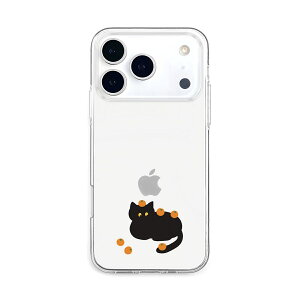 AKAN iPhone 17 Pro�p �\�t�g�N���A�P�[�X�i����˂��ƃ~�J���܂݂�j AK27711I17PR