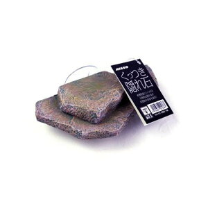 CAEgpi B S jb\[ NAO-603NccLJNCVS