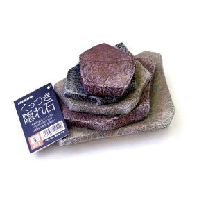 CAEgpi B L jb\[ NAO-605NccLJNCVL