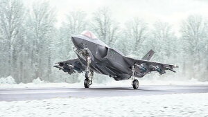 C^ 1/48 F-35A CgjOII r[Xg[hyIT2836z vf
