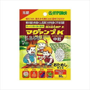 nC|lbNXWp }O@vK  ܃^Cv 50g 2100505