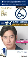 サロンドプロ 無香料ヘアカラー メンズスピーディ 白髪用 6A 赤みを抑えた黒褐色 ダリヤ S ムコウメンズS…