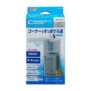 GEX R[i[p[tB^[1 zCg WFbNX R-i-p-tC^-1zCg