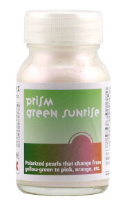 �K�C�A�m�[�c �y�{��͌^���ʌ��菤�i�z�v���Y���O���[���T�����C�Y�y31246�z �h��