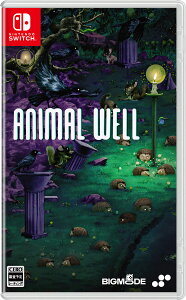 SUPERDELUXE GAMES ySwitchzANIMAL WELL [HAC-P-BCCHA NSW Aj}EF]