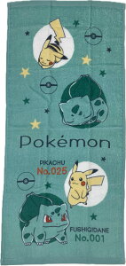 (Hayashi) tFCX^I |P(34×75cm) FP444600 [FP444600]