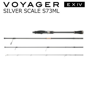 �A�s�A ���H�C�W���[ EX IV �V���o�[�X�P�[�� S73ML SILVER SCALE S73ML APIA VOYAGER EXIV SILVER SCALE S73ML