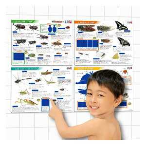 pCbg łĂIӂŃX^fBuw̐}LIVEv