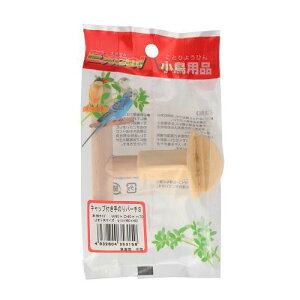 GNZ Lbvt̂p[`S 1{ i`ybgt[Y GNZLcvcLemp-`S