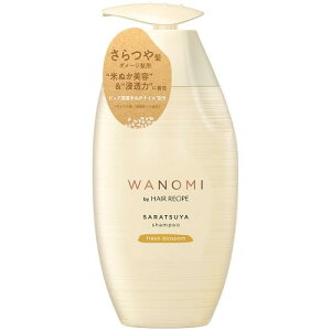 HAIR RECIPE a̎ by wAVs  Vv[ |v 350ml PGJapan m~TcSP|v