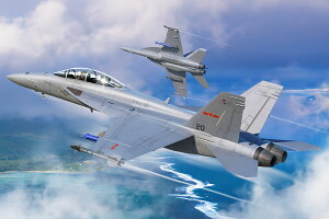 zr[{X 1/48 GANtgV[Y F/A-18F X[p[z[lbg VFC-12y85819z vf