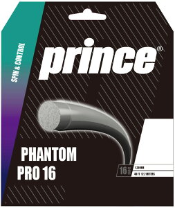 prince�i�v�����X�j �d���e�j�X�p�X�g�����OPHANTOM PRO 16(�t�@���g�� �v��)�i�O���t�@�C�g�E�T�C�Y�F12.2m�j DIW-7JJ035-GRP