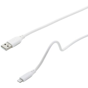 CvN MFICgjO }V}[dʐMP[u 1.0mizCgj IUSSAL100WH