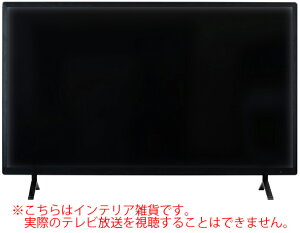 ���J �y�u���z�f�B�X�v���CTV 50�C���`(�u���b�N) DIS-550 �e���r�̖͌^ [DIS550�A�Y�}��]