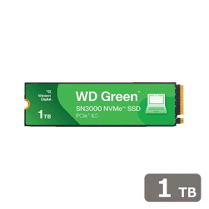 Western DigitalbEGX^fW^ WD Green SN3000 V[Y Gg[f M.2 PCIe Gen4x4 NVMe ڑSSD 1TB WDS100T4G0E